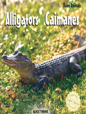 cover image of Alligators / Caimanes
